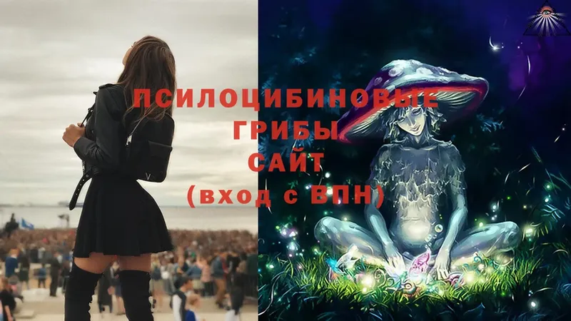 Галлюциногенные грибы MAGIC MUSHROOMS  mega зеркало  Зубцов 